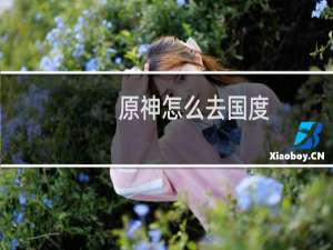 原神怎么去国度
