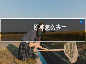原神怎么去土
