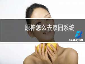 原神怎么去家园系统