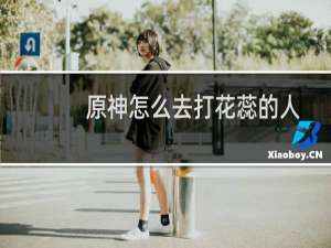 原神怎么去打花蕊的人