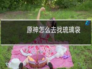 原神怎么去找琉璃袋
