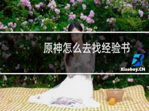 原神怎么去找经验书