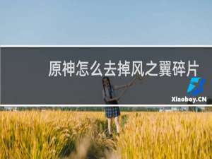原神怎么去掉风之翼碎片