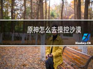 原神怎么去操控沙漠