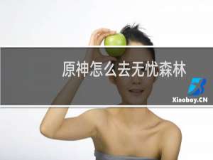 原神怎么去无忧森林