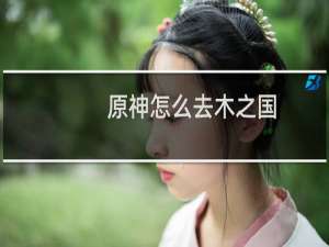 原神怎么去木之国