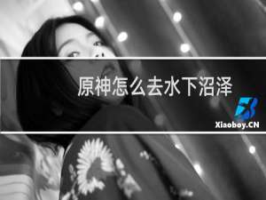 原神怎么去水下沼泽