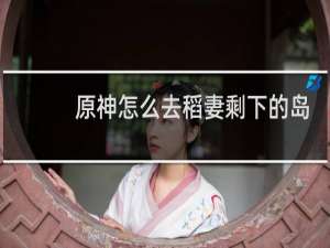 原神怎么去稻妻剩下的岛