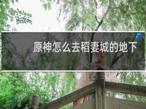 原神怎么去稻妻城的地下
