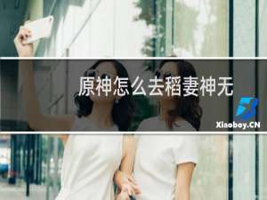 原神怎么去稻妻神无