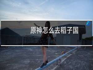 原神怎么去稻子国
