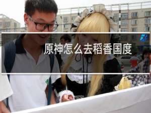 原神怎么去稻香国度