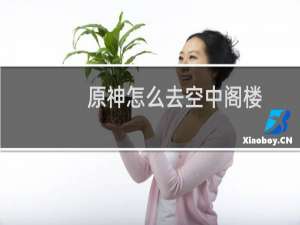 原神怎么去空中阁楼