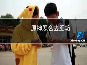 原神怎么去细坊