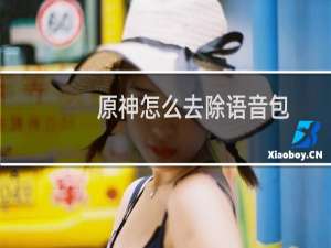 原神怎么去除语音包