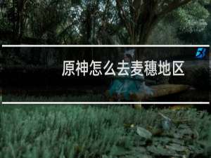 原神怎么去麦穗地区
