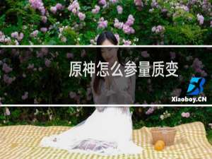 原神怎么参量质变