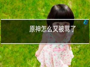 原神怎么又被骂了