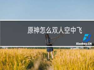 原神怎么双人空中飞