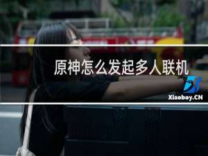原神怎么发起多人联机