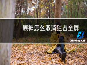 原神怎么取消独占全屏