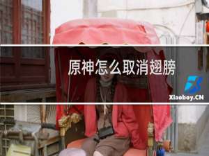 原神怎么取消翅膀