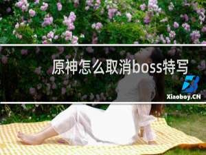 原神怎么取消boss特写