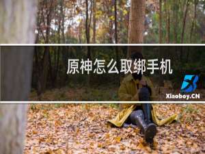 原神怎么取绑手机