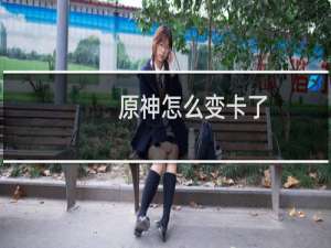 原神怎么变卡了