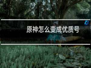 原神怎么变成优质号