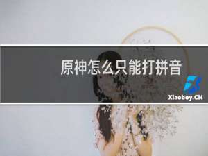 原神怎么只能打拼音