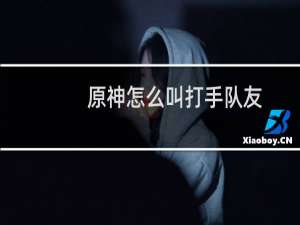 原神怎么叫打手队友