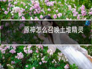 原神怎么召唤土堆精灵