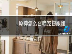 原神怎么召唤宠物跟随