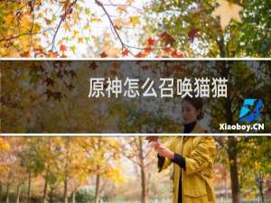 原神怎么召唤猫猫