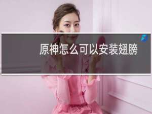 原神怎么可以安装翅膀