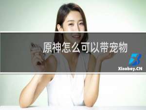 原神怎么可以带宠物
