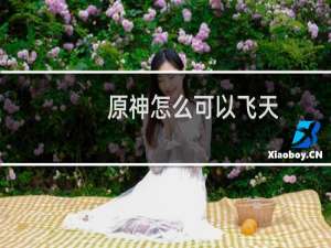 原神怎么可以飞天