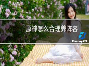 原神怎么合理养阵容