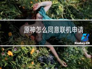 原神怎么同意联机申请