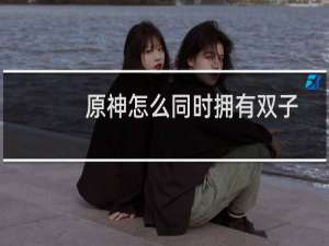 原神怎么同时拥有双子