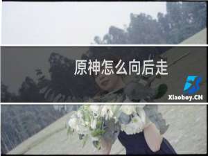 原神怎么向后走