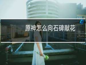 原神怎么向石碑献花