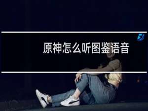 原神怎么听图鉴语音