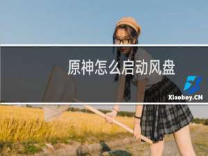 原神怎么启动风盘