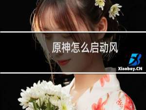 原神怎么启动风