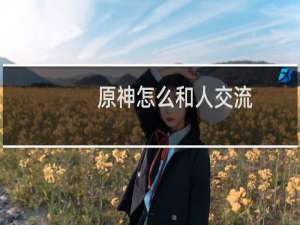原神怎么和人交流