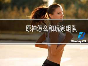 原神怎么和玩家组队