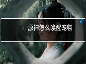 原神怎么唤醒宠物