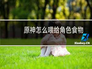 原神怎么喂给角色食物